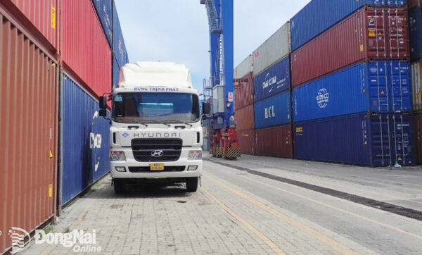 Doanh nghiệp dịch vụ logistics Đồng Nai làm hàng xuất khẩu. Ảnh: V.GIA