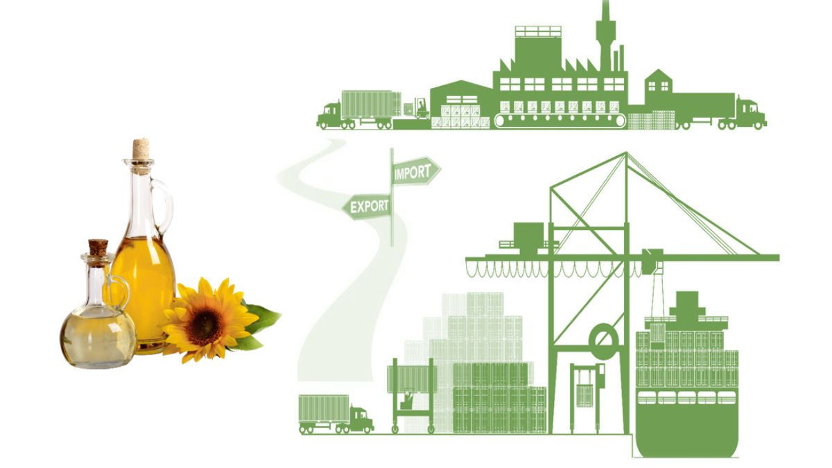 Quy trình nhập khẩu dầu hướng dương