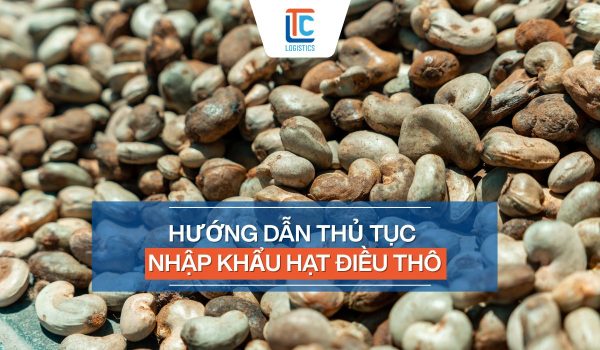 Thủ tục nhập khẩu hạt điều thô