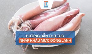 thủ tục nhập khẩu mực