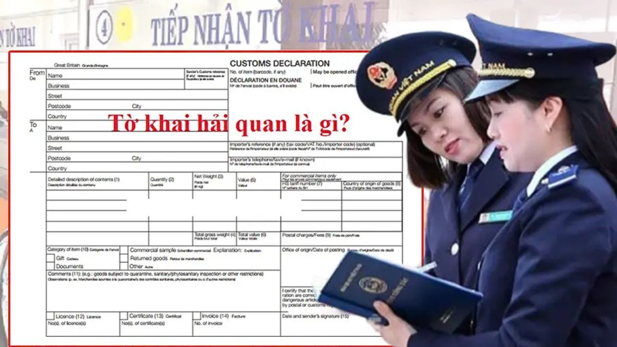 Tờ khai hải quan là phương tiện kê khai thông tin chi tiết về hàng hóa khi làm thủ tục xuất nhập khẩu