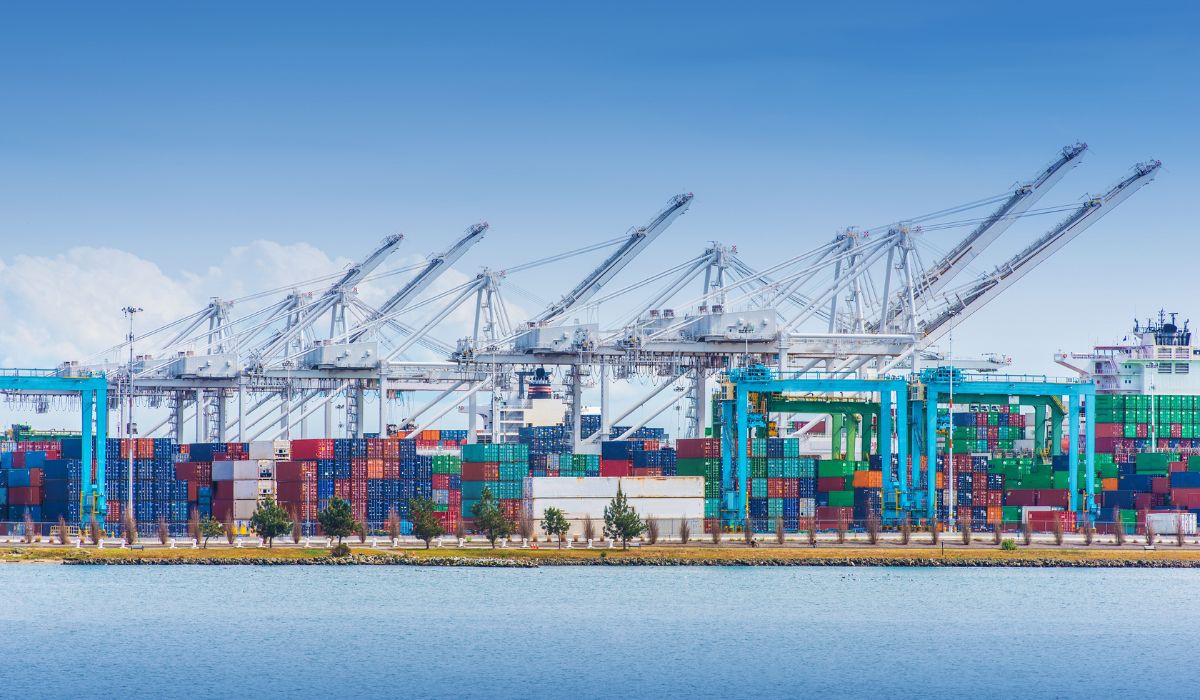 Lt Logistics Giải pháp logistics hiệu quả – Chìa khóa thúc đẩy xuất nhập khẩu trong ...