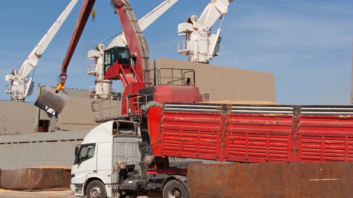 Các thiết bị để bốc xếp hàng rời