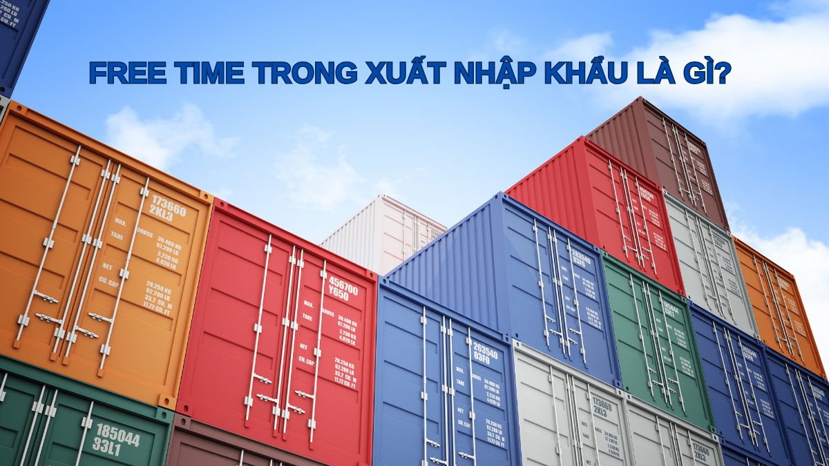 Free time trong xuất nhập khẩu là gì