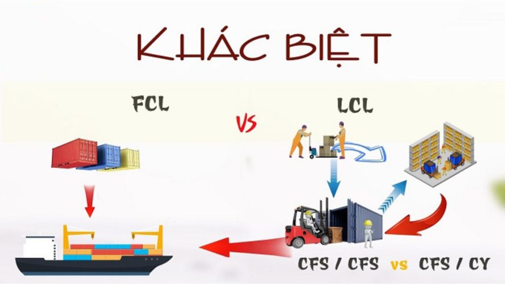 CY là gì? Phân biệt CY với CFS