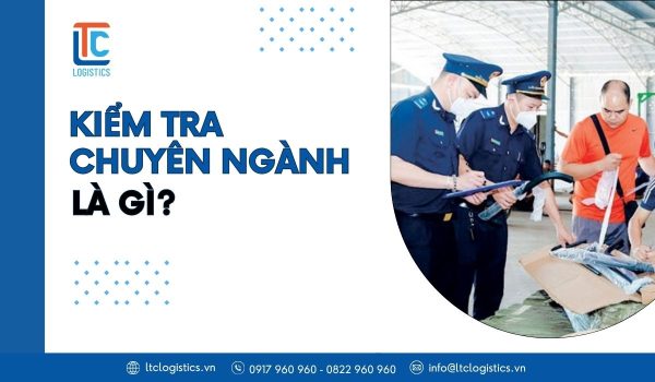 Kiểm tra chuyên ngành là gì