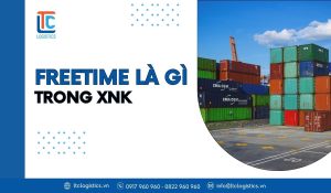 freetime là gì trong vận tải biển